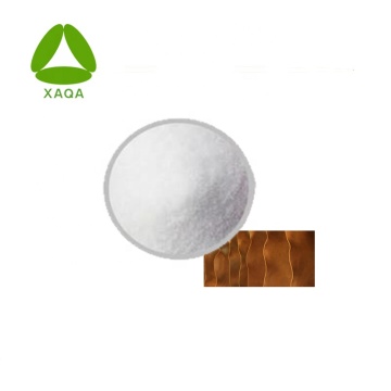 Animal Extract Cow Skin Collagen Peptide Powder