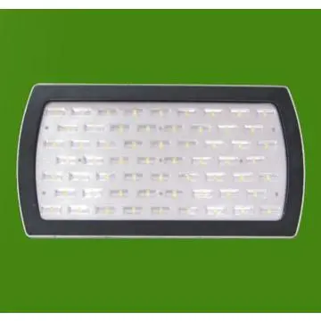 IP 67 LED Tunnel Lights 60W,Mainly used for tunnel lighting