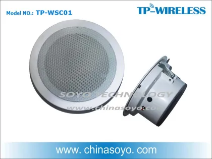 Background Music Wireless Mounted Ceiling Speaker