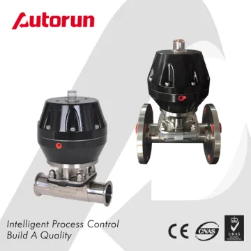 Food Industry 316L Stainless Steel Pneumatic Diaphragm Valve