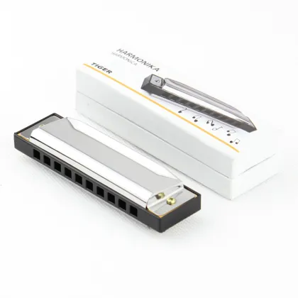 Factory Custom Metal Musical Instrument 10 Holes Blues Harp Harmonica for Kids