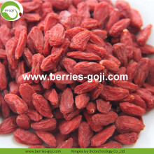 Comprar Natural Fruit Anti Cancer Lycium Chinensis