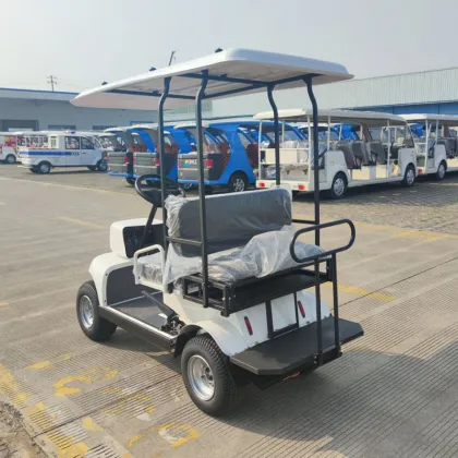 Lead-acid battery electric vehicle