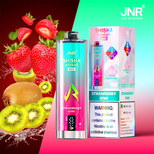 JNR Shisha Max 22000 Disposable Vape Wholesale France