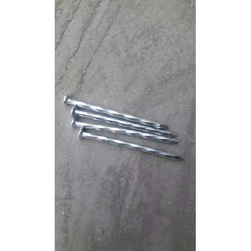 Zinc Coated Concrete Steel Nail