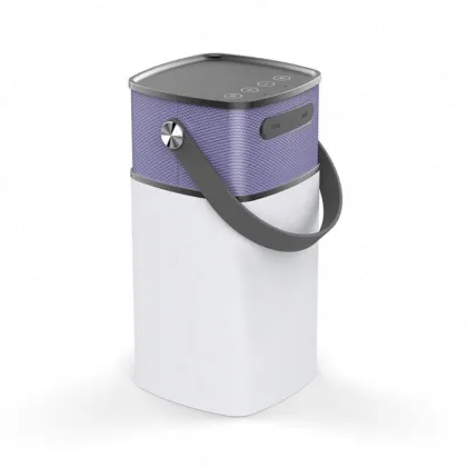 8 Inch 2.1 Subwoofer Fashionable Design F D Speaker