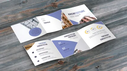 Professional Tri-Fold Brochure Design Ideas