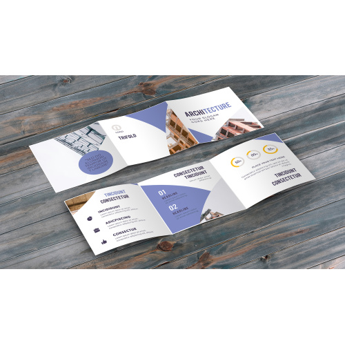 Professional Tri-Fold Brochure Design Ideas