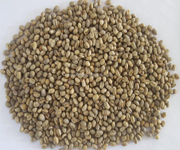 round type yunnan green coffee beans