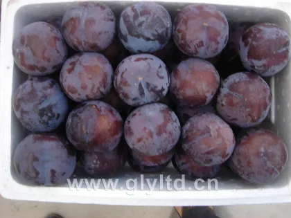 Fresh Black Plum