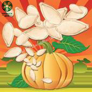 Wholesale Pumpkin Seeds Shine Skin Pumpkin Seeds