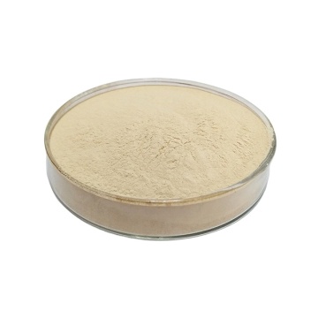High quality gelatin powder