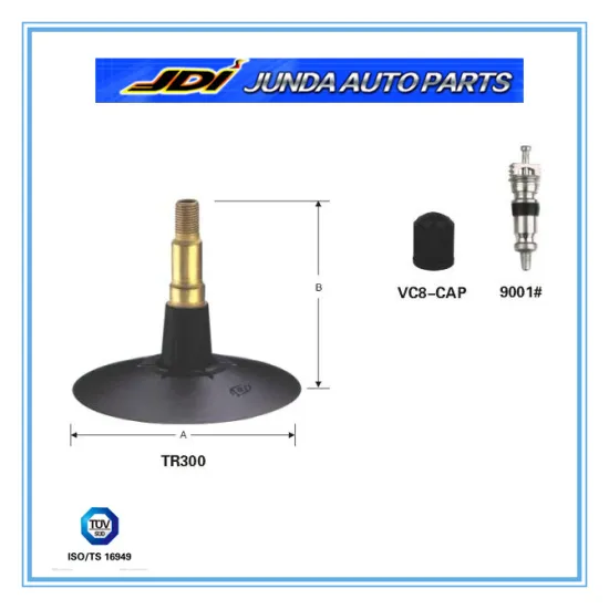 Tube tire valves TR300