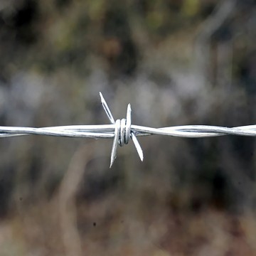 Galvanized 4-Point Barbed Wire