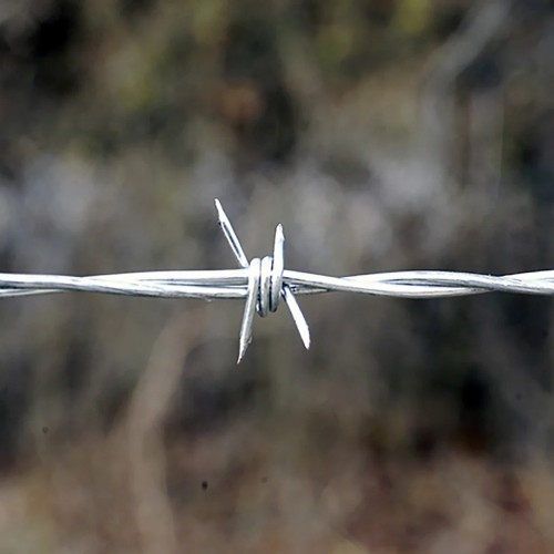 Galvanized 4-Point Barbed Wire
