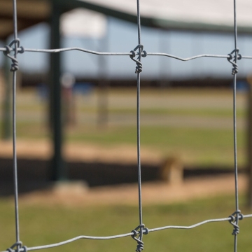 Galvanized Horse Fixed Knot Field Fencing 20 Gauge 1.0m x 488m Roll