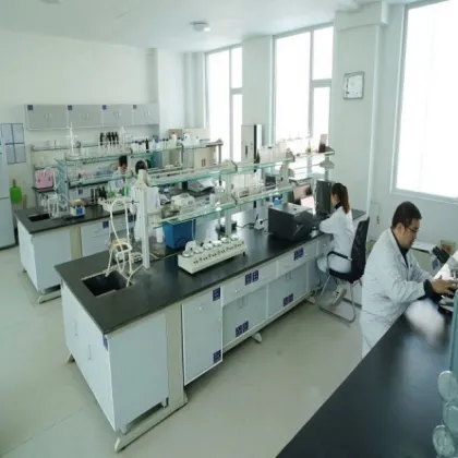 fungus oyster mushroom seeds for dried mushrooms