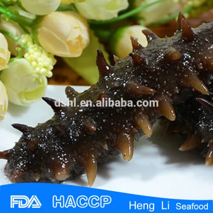 Premium quality sea cucumber