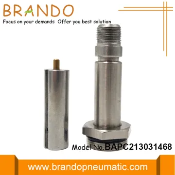 2/2 Way NC Replacement Stainless Steel Armature Assembly