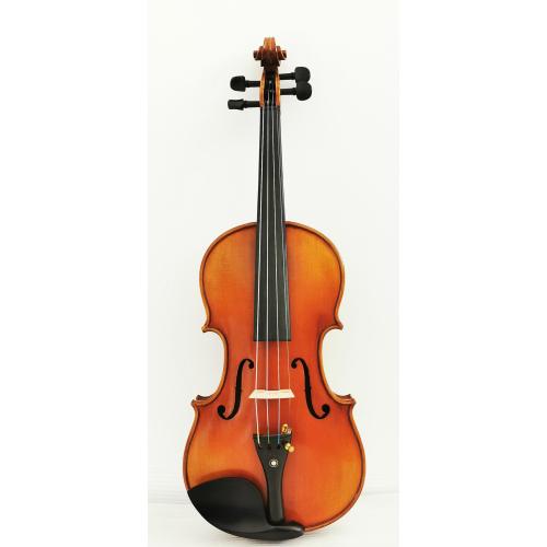 One Piece Back Master Violin