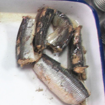 125G Canned Sardine In Oil And Tomato