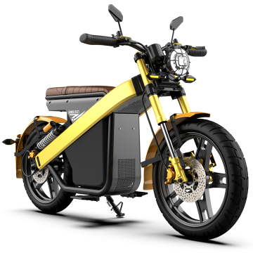 EU/USA diluluskan 1500W-3000W Skuter CityCoco Elektrik untuk orang dewasa