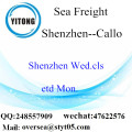 Shenzhen Port LCL Consolidation To Callo