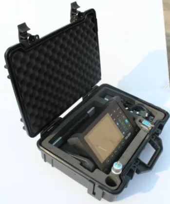 Leading NDT equipment TDS-2000 flaw detector