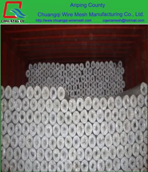 Galvanized Chicken Coop Hexagonal Wire Mesh
