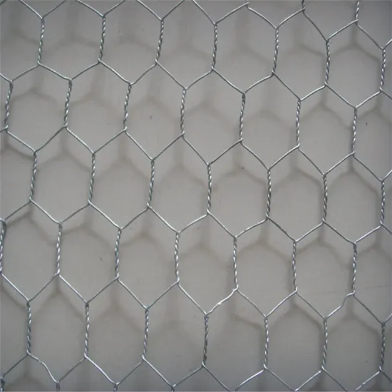 Hot DIP Galvanized Chicken Wire Mesh Hexagonal Mesh