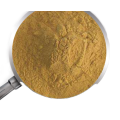 Best function cnidium monnieri extract powder fructus cnidii