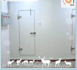 Hinged Door Storage Coold Room