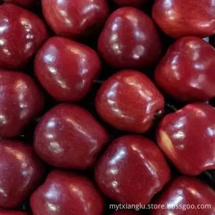 tianshui huaniu apples gansu huaniu apples red ap