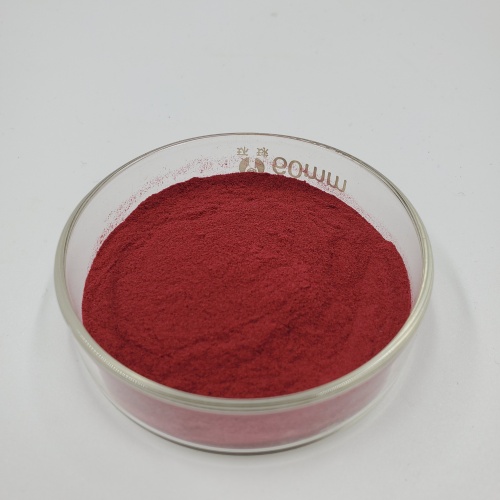 Pure Natural Lycopene Syrup Lycopene Tomato Powder
