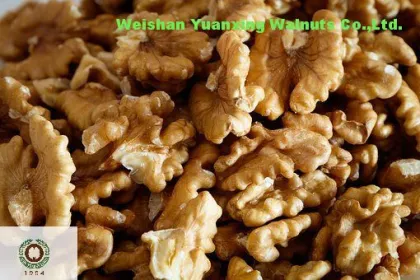 First grade Chinese Walnut Kernels Light Quarters