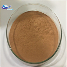 Wholesale price wild Phellinus linteus extract