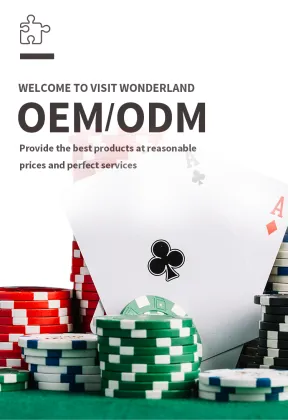 casino chip poker set 300pcs blank gambling game