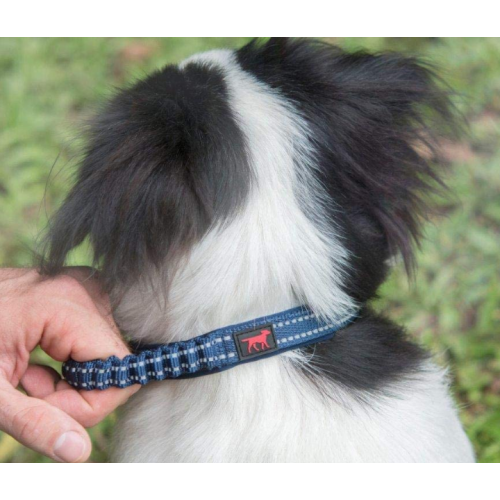 Ballistic Nylon Heavy Duty Dog Collar