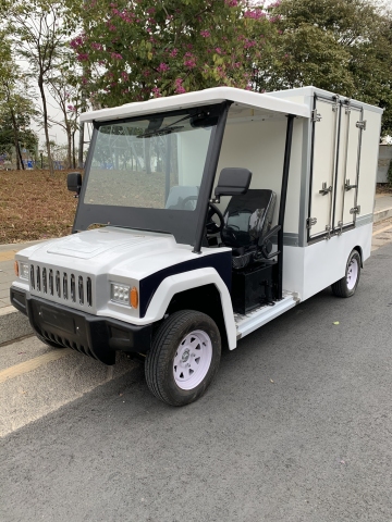 Small Electric Food Truck