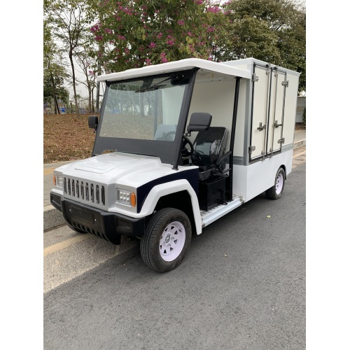 Small Electric Food Truck