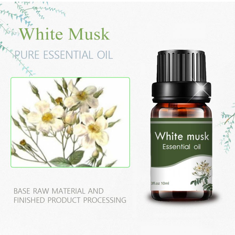 cosmetic grade 10ml top quality white essential musk oil