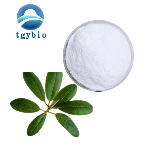 Ursolic Acid Powder Supply High Quality Ursolic Acid powder CAS 77-52-1 Supplier