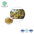 Oleuropein Powder for Antioxidant Formulations