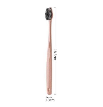 Simple And Environmentally Friendly Toothbrush