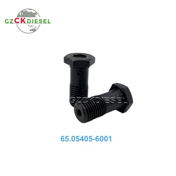 Relief Valve Assy & Oil Cooling Nozzle Screw 65.05405-6001 for DL300 DL300A Wheel Loader