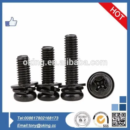 China made philips pan head combination screw