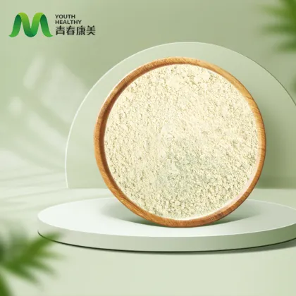 Instant Yogurt Powder Health