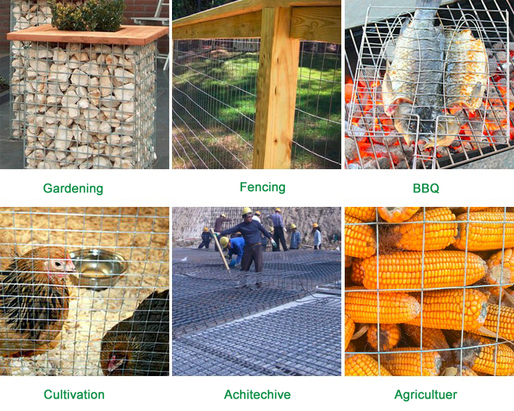 Galvanized Chicken Mesh