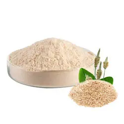Psyllium husk powder wholesale