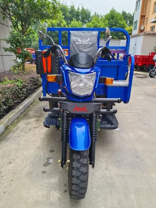 Sturdy Three Wheel Transport for Daily Needs